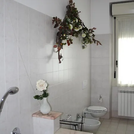 فندق مبيت وإفطار City's House