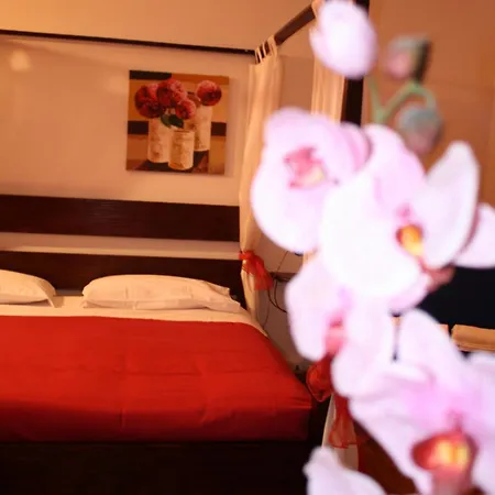 住宿加早餐酒店 城市之家住宿加早餐酒店 贝尔加莫