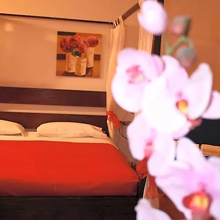 Bed & Breakfast City's House Bergamo