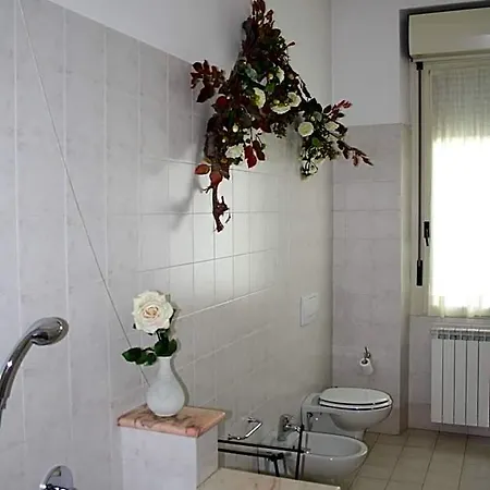 Bed & Breakfast City's House
