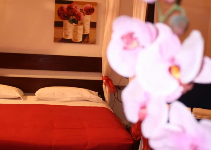 Bed & Breakfast City's House Bergamo